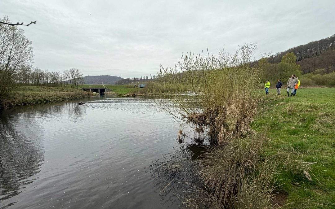 Gewässervermessung der Emmer am Schiedersee