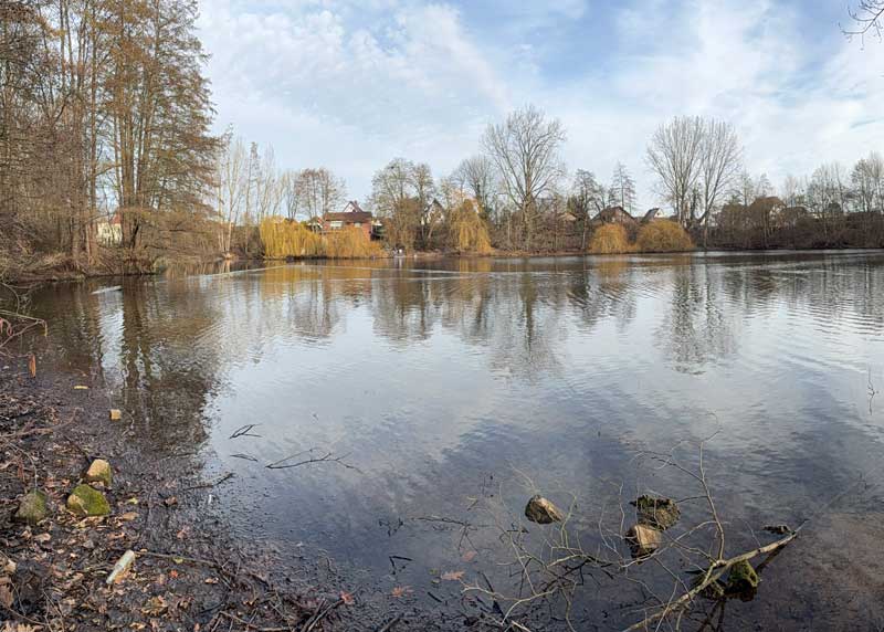 Ein kleiner See mit dichtem Bewuchs an der Uferkante